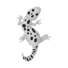 Vector illustration of lizard and gecko icon. Set of lizard and creature stock vector illustration.