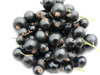 Black currant background. Macro photography. 