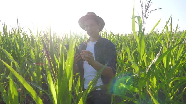smart farming slow motion video concept. man agronomist holds tablet touch pad computer in the corn field is studying and examining crops before harvesting. Agribusiness concept. male farmer orking in