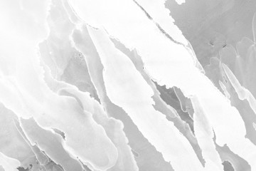 Fototapeta premium Hand painted white alcohol ink background. Abstract delicate gray texture. Contemporary wallpaper.