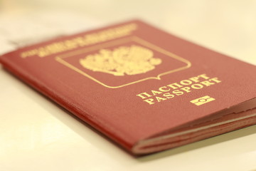 autumn, track, tree, leaves, walk