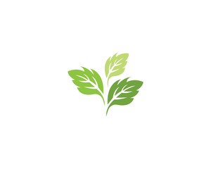 Vector leaves green nature logo template symbol