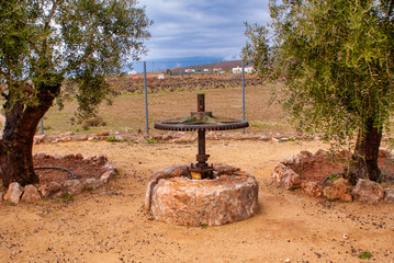 antiguo engranaje de una almazara