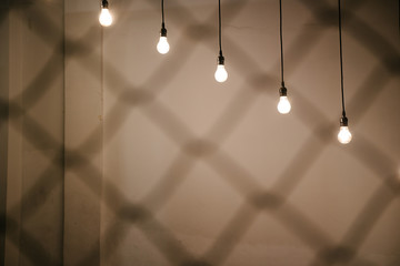 Light bulbs over white wall background