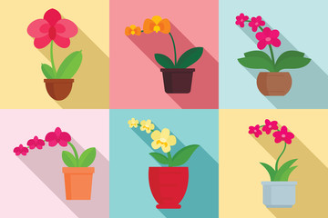 Orchid icons set. Flat set of orchid vector icons for web design