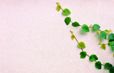 Tropical leaves on pink background,top view,fresh
