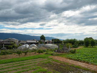 Fototapeta na wymiar 農村の風景