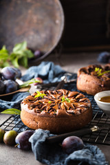 close-up view of delicious sweet fruit pie with plumes   