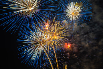 fireworks in the sky
