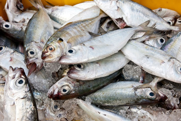 Obraz premium Fresh fish at the market