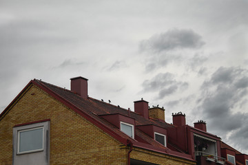 Photography of a a cloudy days and crows flying in the sky in Sweden