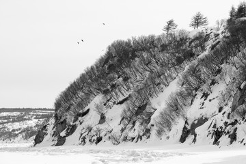 Winter landscape with the sea coast. Sea bay covered with ice. The rocky coast is covered with snow. Gertner Bay, Sea of Okhotsk, Magadan, Far East of Russia. Black and white landscape photography.