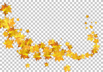 Fall (Autumn) Maple Background
