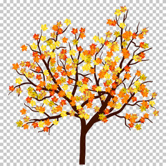 Fall (Autumn) Maple Background