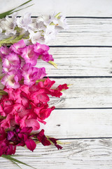 Gladiolus flowers top view