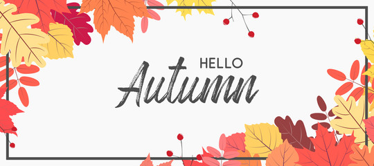 Hello autumn falling leaves. Autumnal foliage fall and poplar leaves. Autumn design. Templates for placards, banners, flyers, presentations, reports.