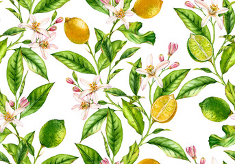 Lemon Lime fruit seamless pattern watercolor tree branch with flowers realistic botanical floral surface design: whole half citrus leaves isolated artwork on white hand drawn for textile wallpaper