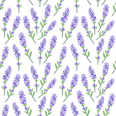 Beautiful Lavender Pattern. Seamless Background. Vector.