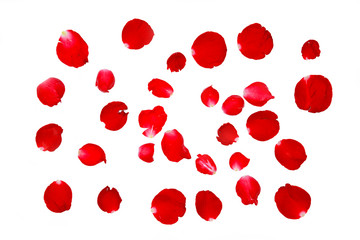background of red rose petals