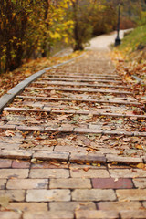 Fototapeta premium A path of yellow brick strewn with autumn leaves leads to the distance.