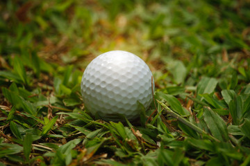 golf ball on green in beautiful golf course with sunset. Golf ball close up in golf coures at Thailand