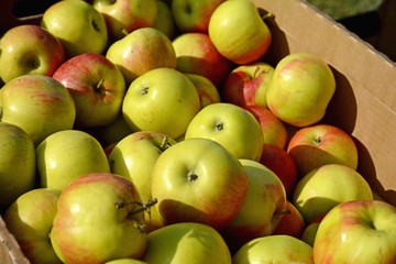 Apples are piled in a box