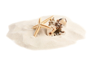 Fototapeta na wymiar Pile of beach sand with beautiful starfish and sea shells on white background