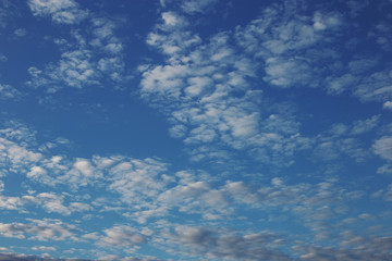 Cirrus cumulus clouds on a blue sky. Background blank texture.