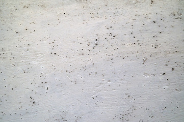 The texture of the wall with black dots. Background photo is white colored.