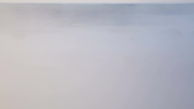 Timelapse of morning foggy valley with trees at sunrise
