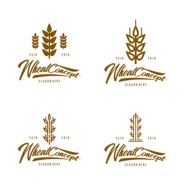 Set of Modern Wheat logo vector template. Concept logo Wheat with many variants.