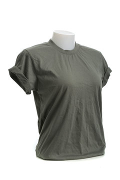 Gray color female tshirt template on the mannequin