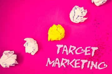 Word writing text Target Marketing. Business concept for Market Segmentation Audience Targeting...