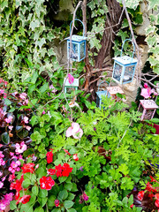 Lampiony © michalsen