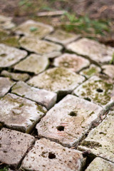 Old brick paving background closeup. Vintage brick texture