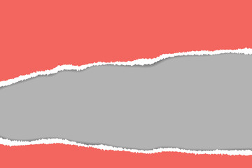 Ripped paper. Vector of ripped paper. The paper was ripped background.