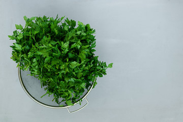 Bowl of fresh green parsley on gray wooden board. Top view. Copy space. Harvesting concept