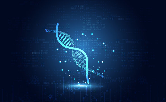 Abstract health science consist DNA digital technology on hi tech future blue background.
