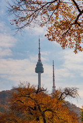 Obraz premium Autumn of Namsan Tower in Seoul,South Korea.
