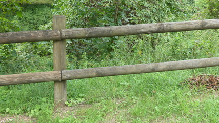 Steccato nel bosco