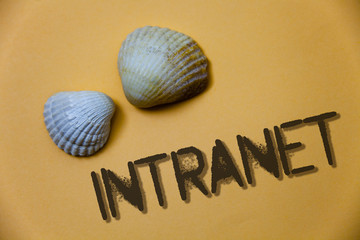 Handwriting text writing Intranet. Concept meaning Private network of a company Interlinked local area networks Grunge ideas messages shells light brown background beach memories thoughts