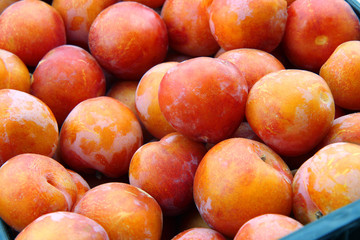 fresh plums at the market