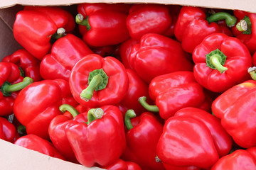 red peppers  at the market