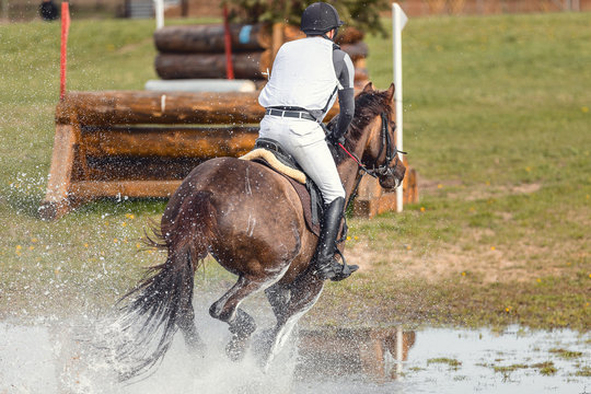 portrait of horse and rider galloping in water during eventing competition