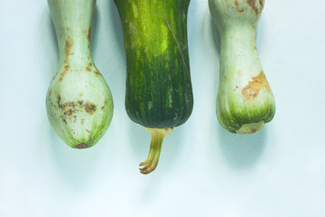 Ugly food concept. Unusual shaped zucchini with mold, scar-like structure, scratches. Top view.