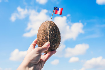 Tropical coconut with Malaysian flag in the form of a toothpick in female hands. Travel concept. Tourism in Malaysia.