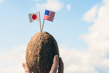 Tropical coconut with the American and Japanese flag in the form of a toothpick in female hands. Travel concept.  Honeymoon of America and Japan tourists