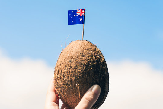 Tropical Coconut With The Australian Flag In The Form Of A Toothpick In Female Hands. Travel Concept.  Tourist Of Australia On Vacation