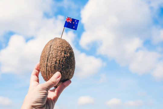 Tropical Coconut With The Australian Flag In The Form Of A Toothpick In Female Hands. Travel Concept.  Tourist Of Australia On Vacation