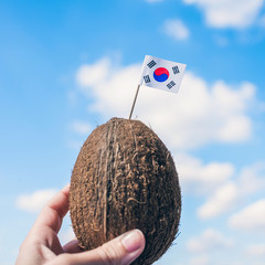 Tropical coconut with south korean flag in the form of a toothpick in female hands. Travel concept.